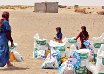 Food insecurity peaked in 2021: UN