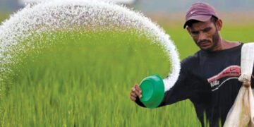 ONOF scheme from Oct