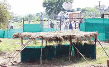 The return of cheetah