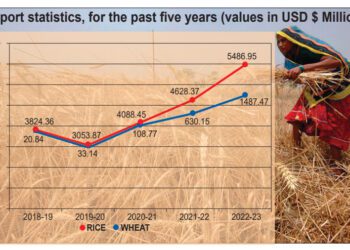 Food export boom