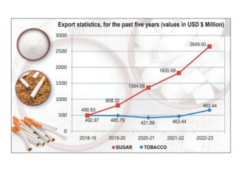 Cash Crop Export Surge