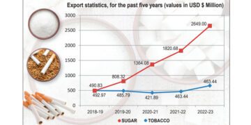Cash Crop Export Surge