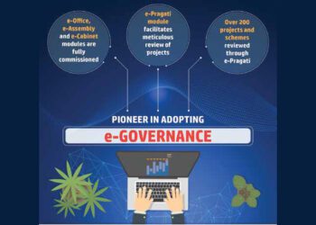 Growing digital governance