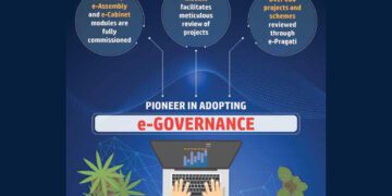 Growing digital governance