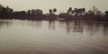 Central assistance given for 165 wetlands