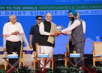 Milk exports to increase by five times