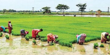 agricultural