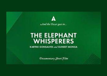 PM congratulates Indian Oscar Winners