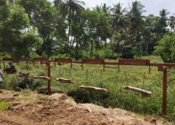 Govt to mitigate farmers’ woes