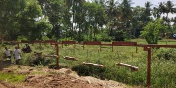 Govt to mitigate farmers’ woes