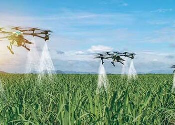 Holistic water management and community irrigation