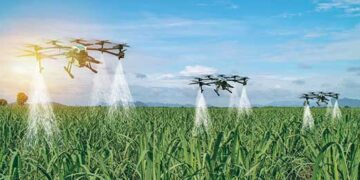 Holistic water management and community irrigation