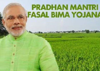 PMFBY brings succour to farmers