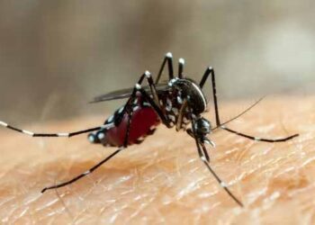 India to eliminate malaria by 2030