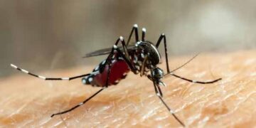 India to eliminate malaria by 2030