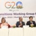 G20 working group