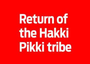 Return of the Hakki Pikki tribe