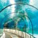 Undersea tunnel in Mumbai soon