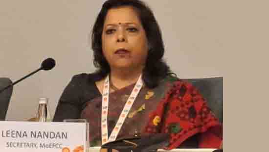 Leena nandan