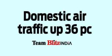 Domestic air traffic up 36 pc