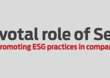 Pivotal role of Sebi