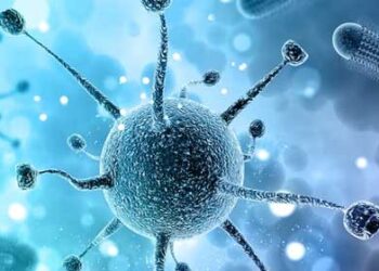 Scientists clone bacteria that detect tumor