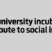 How university incubators contribute to social impact