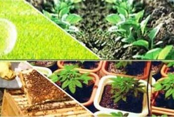 PHOTO CREDIT Ministry of Agricultural & Farmers Welfare