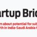 Startup Bridge