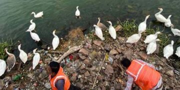 Environment ministry conducts wetlands cleaning around different Ramsar sites