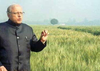 Miracle rice Aarey Aath