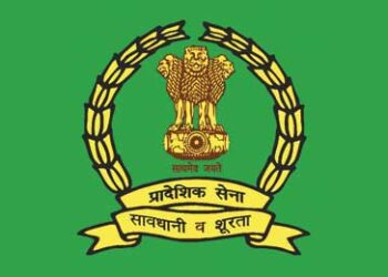 The critical role the Territorial Army plays