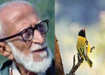Birdman Dr Salim Ali