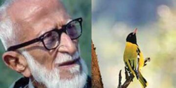 Birdman Dr Salim Ali