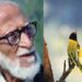 Birdman Dr Salim Ali