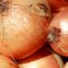 onion
