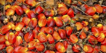 Palm oil dips