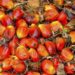Palm oil dips