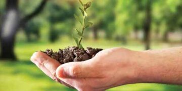 ustainability vs Circularity