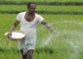 Agriculture