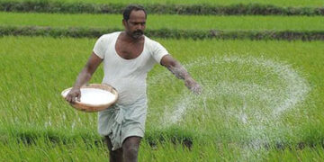 Agriculture