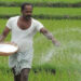 Agriculture