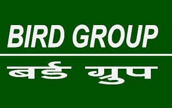 bird group