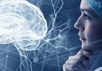 brain