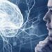 brain