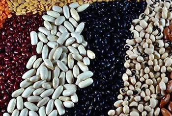 pulses