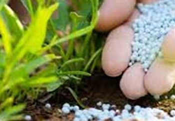 Indian fertilizer