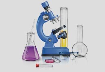 Productive engagement of youth is essential