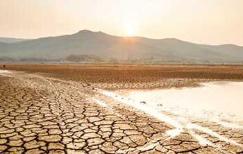 Global temperature