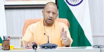 yogi